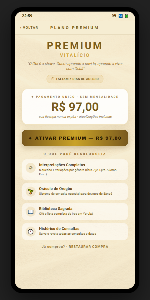 Tela de pagamento premium do Obi